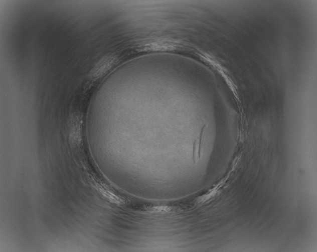 X0000054460153200507291357