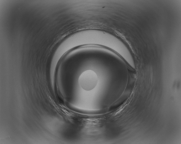 X0000054460154200507291357