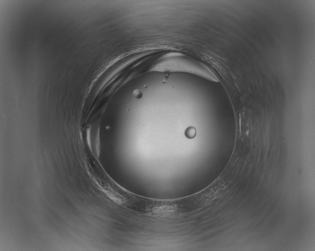 X0000054460156200507291357