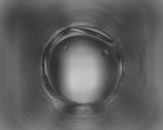 X0000054460160200507291357