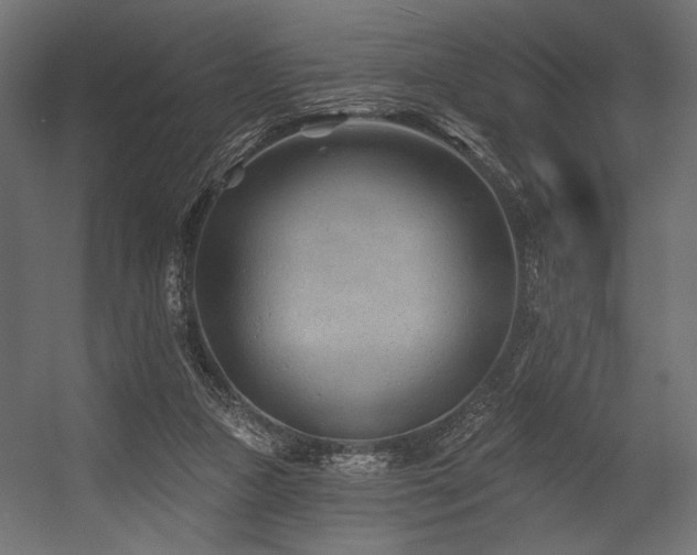 X0000054460161200507291357