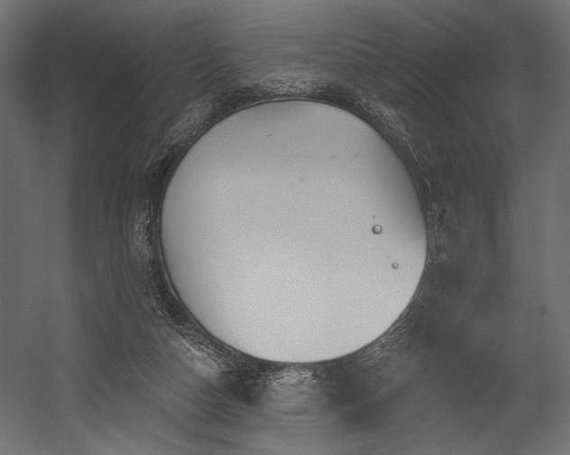 X0000054460162200507291357