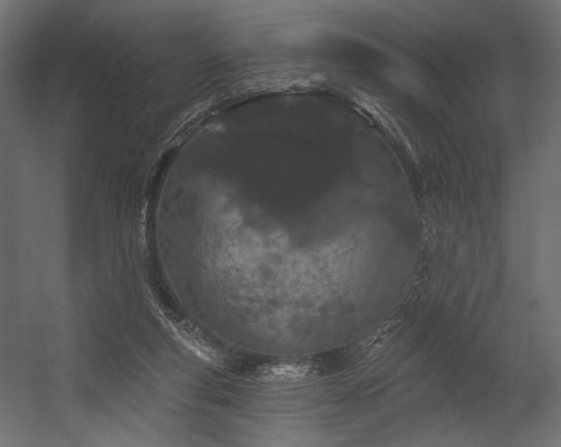 X0000054460163200507291357