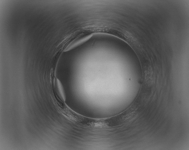 X0000054460165200507291357