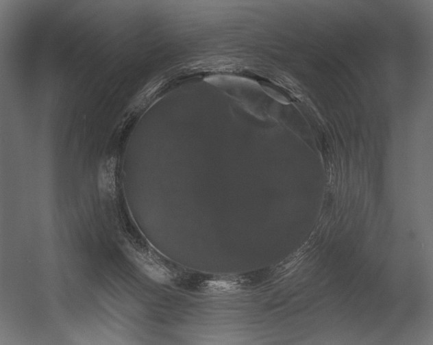 X0000054460167200507291357