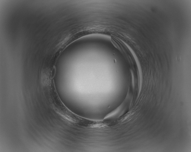 X0000054460168200507291357