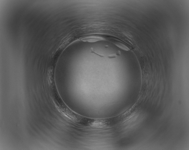 X0000054460171200507291358