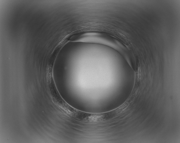 X0000054460172200507291358