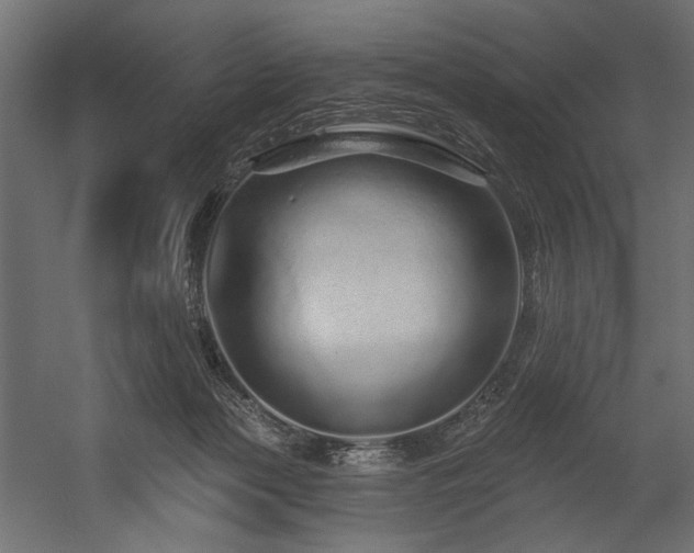 X0000054460173200507291358