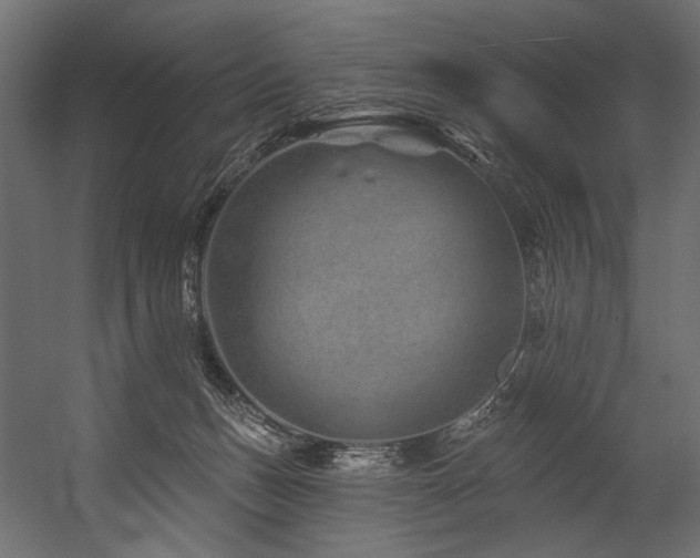 X0000054460175200507291358