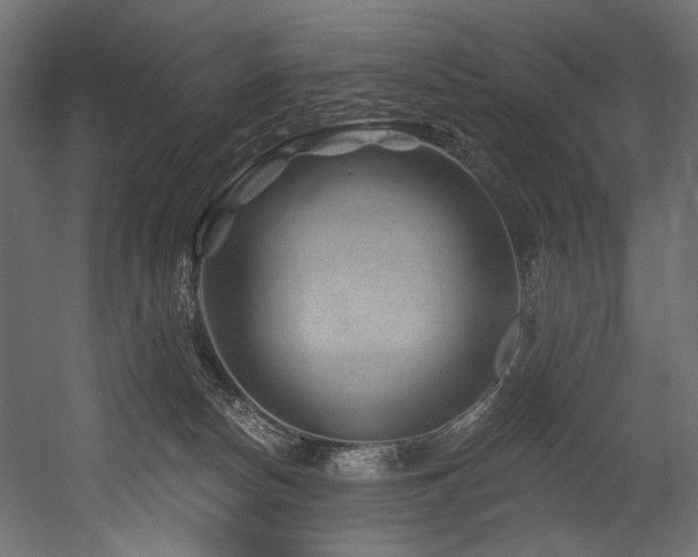 X0000054460178200507291358