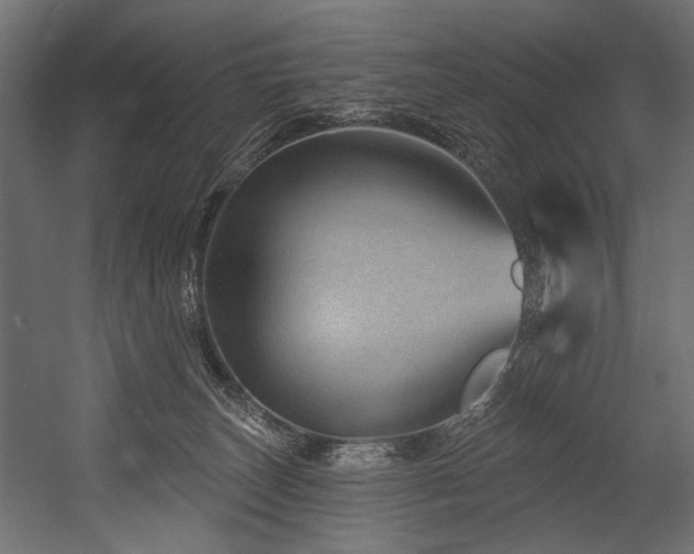 X0000054460179200507291358