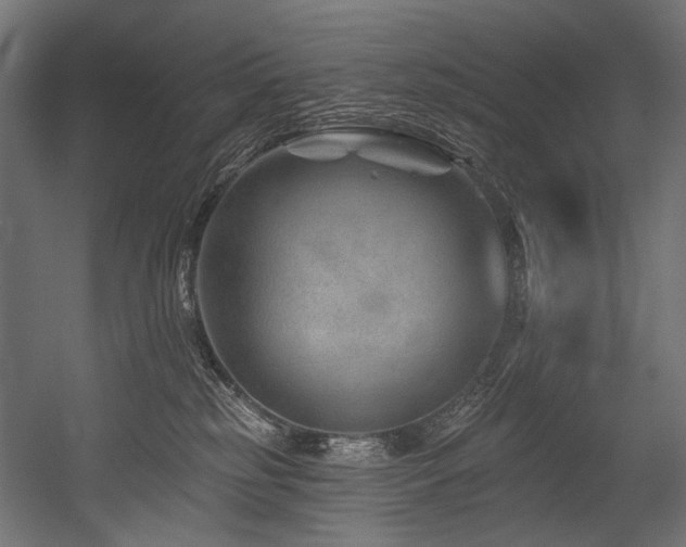 X0000054460185200507291358