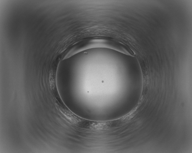 X0000054460186200507291358