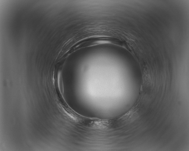 X0000054460188200507291358