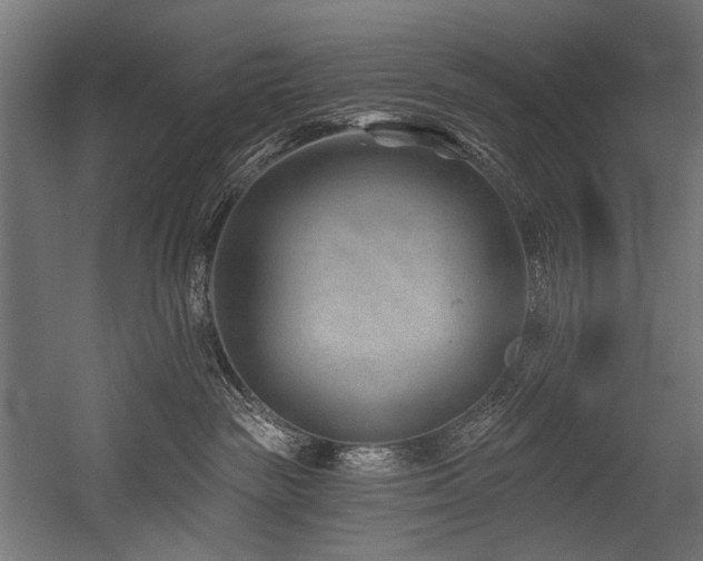 X0000054460189200507291358