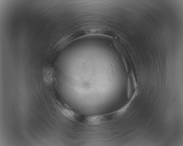 X0000054460191200507291358