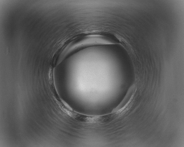 X0000054460192200507291358