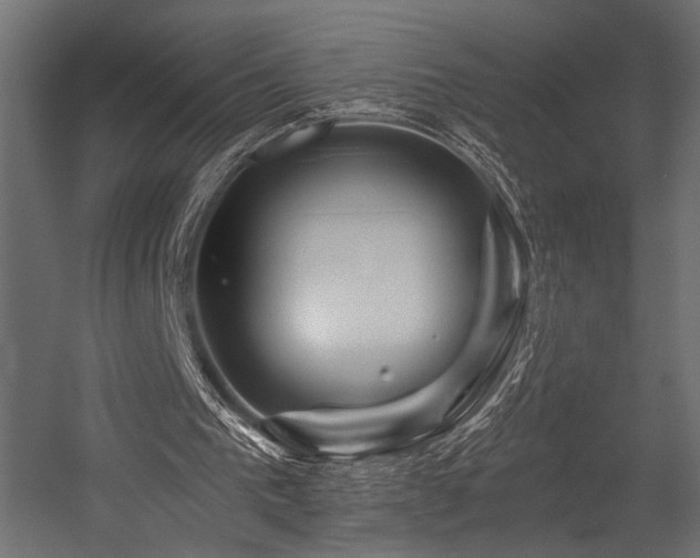 X0000054460193200507291357