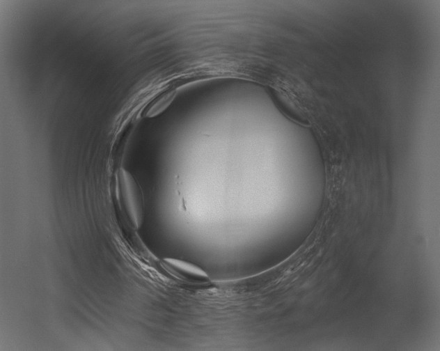 X0000054460194200507291357