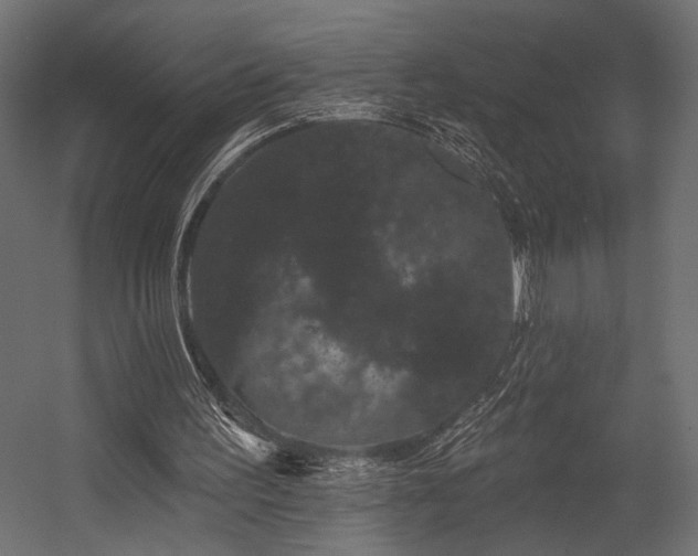 X0000054460195200507291357