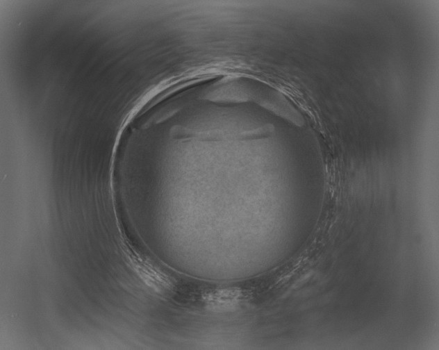 X0000054460196200507291357