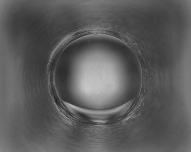 X0000054460197200507291357