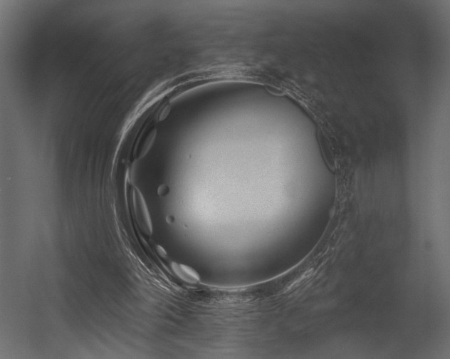 X0000054460198200507291357