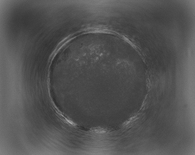 X0000054460199200507291357