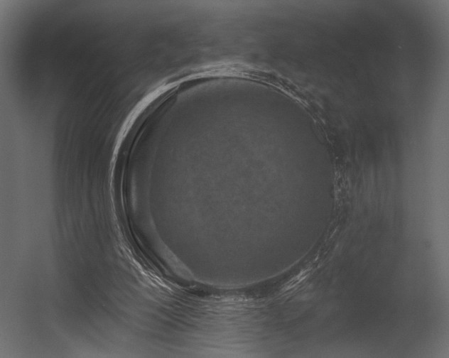 X0000054460200200507291357