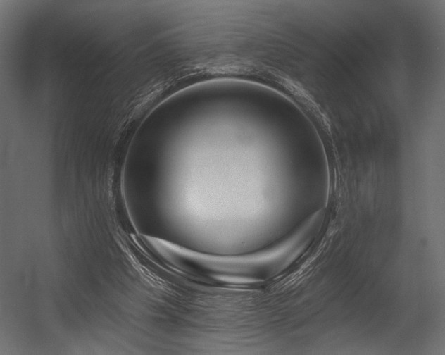 X0000054460201200507291357