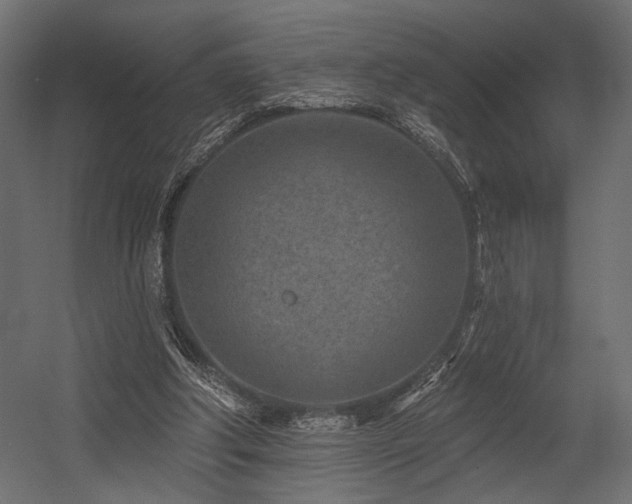 X0000054460202200507291357