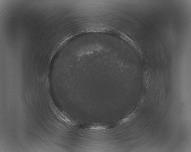 X0000054460203200507291357