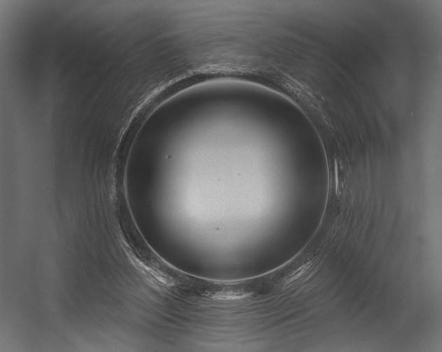 X0000054460204200507291357