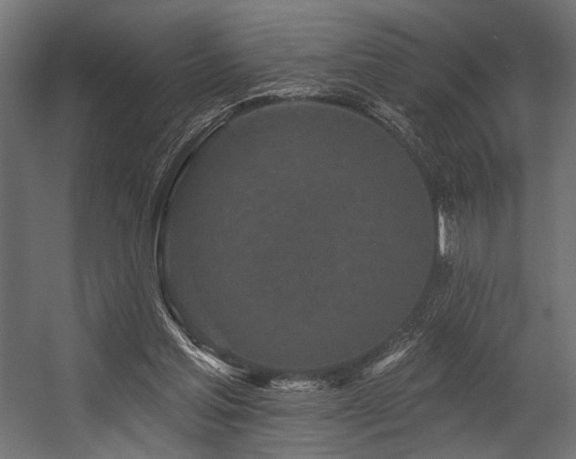 X0000054460205200507291357