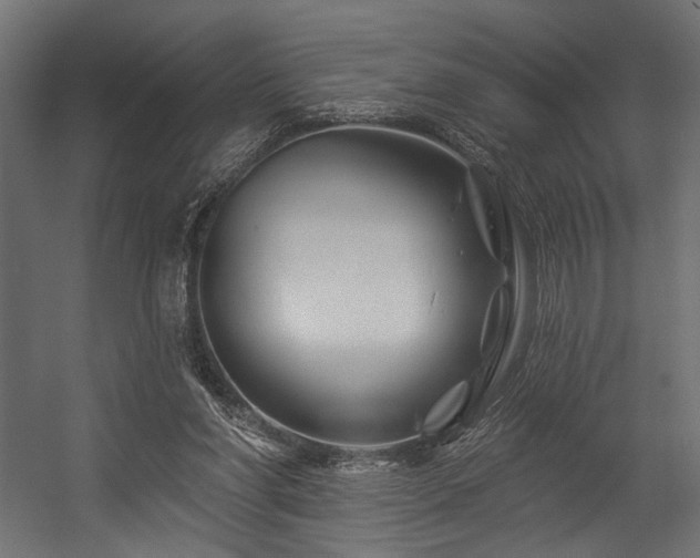 X0000054460206200507291357