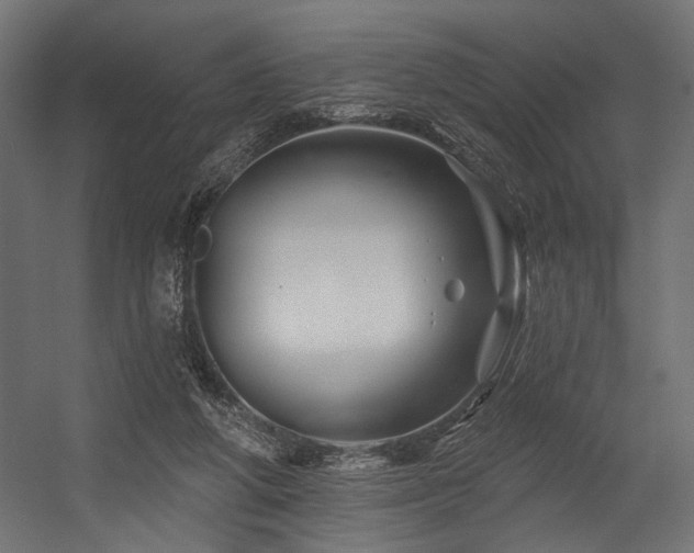 X0000054460210200507291357