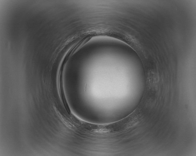 X0000054460212200507291357