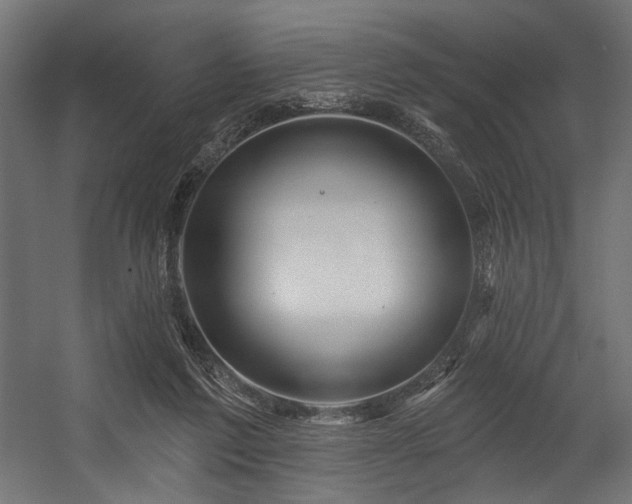 X0000054460213200507291357