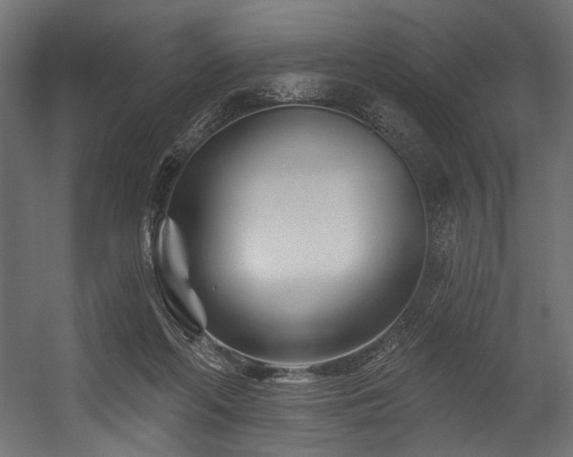 X0000054460214200507291357