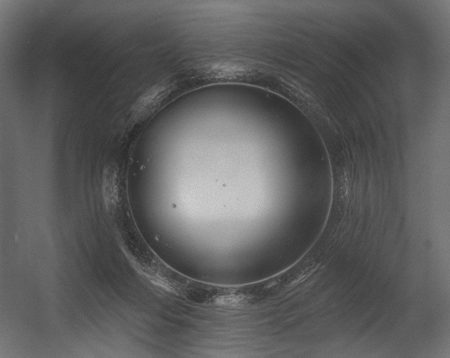 X0000054460216200507291357