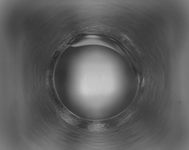 X0000054460217200507291357