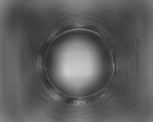 X0000054460220200507291357