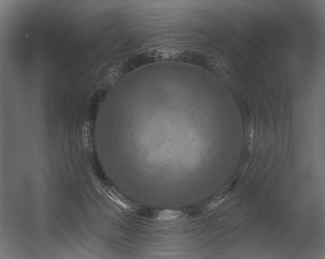 X0000054460222200507291357