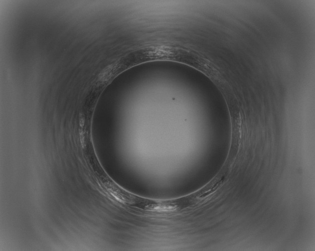 X0000054460223200507291357