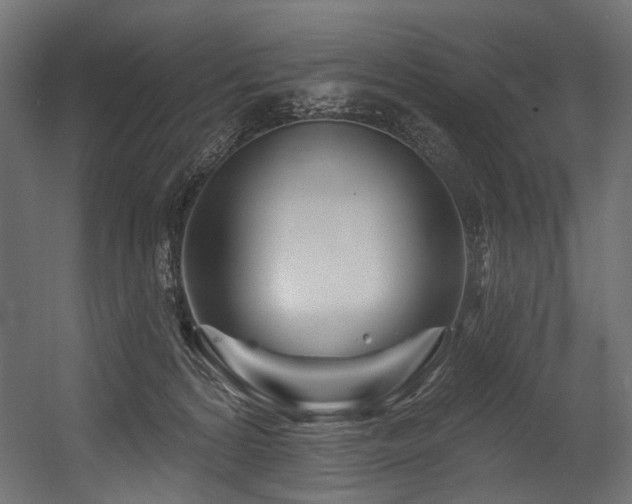 X0000054460224200507291357