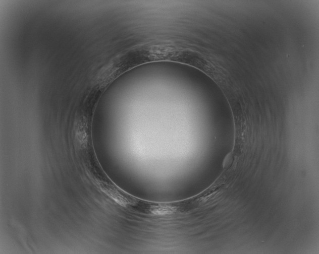 X0000054460226200507291357