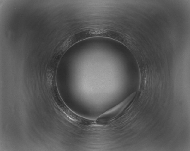 X0000054460227200507291356