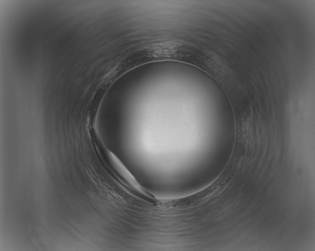 X0000054460228200507291356