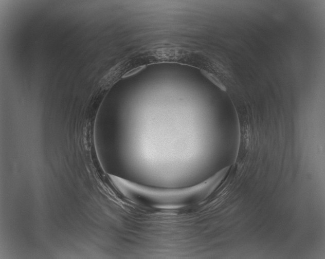 X0000054460233200507291356